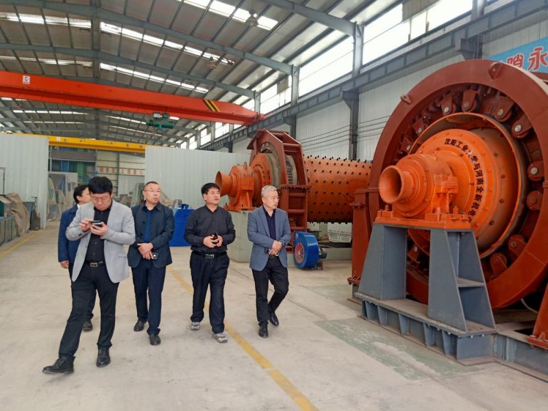 市領導來公司考察高低壓電機（jī）和永磁直驅球磨機